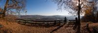 IMG 2535-Pano