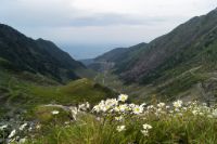 Transfăgărășan  Rumunia