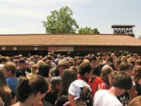 Taize