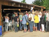 Taize