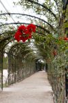 Kammergarten  Schönbrunn, Wiedeń